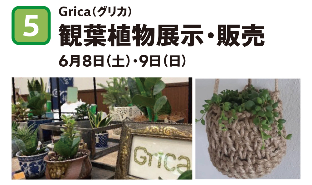 Grica（グリカ） 観葉植物展示・販売 6月8日（土）・9日（日）