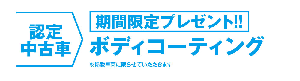 期間限定プレゼント！ ボディコーティング