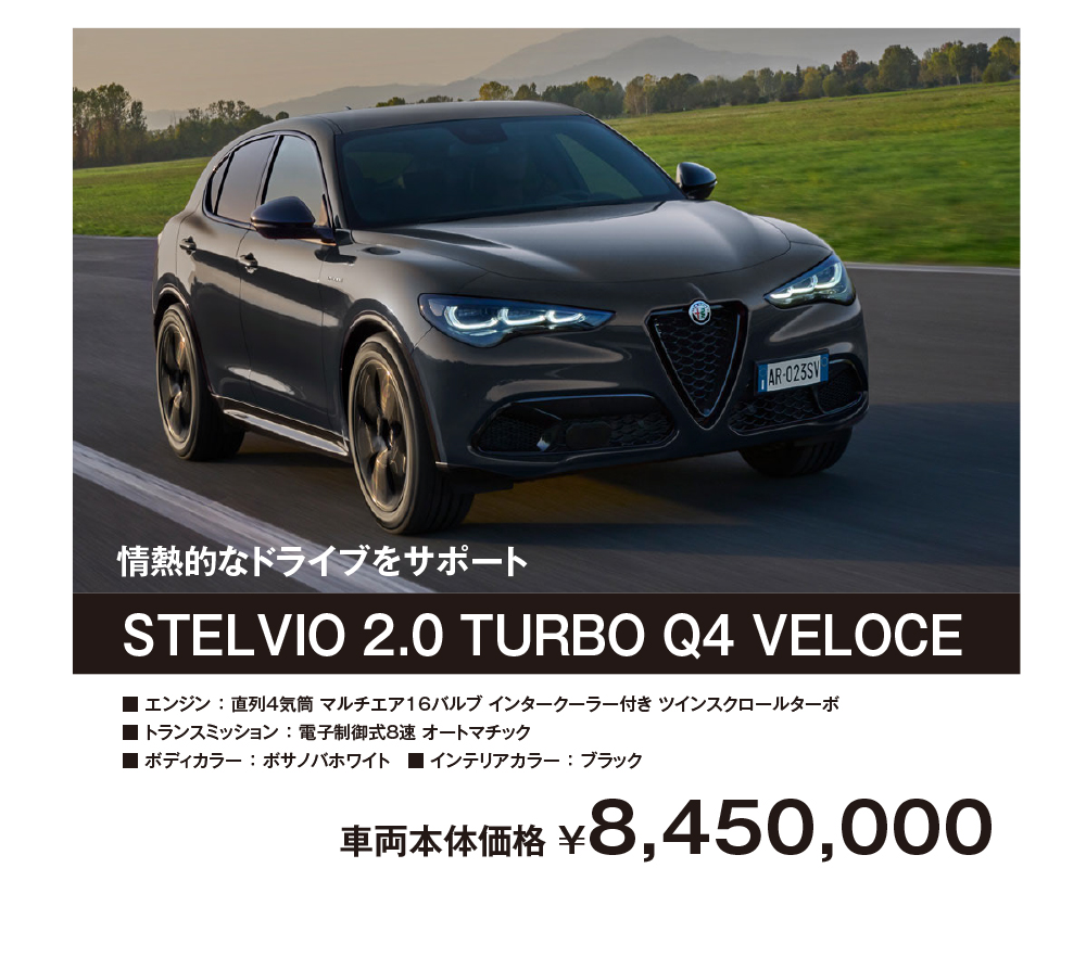 STELVIO 2.0 TURBO Q4 VELOCE