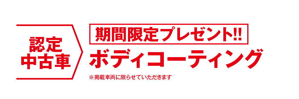 期間限定プレゼント！ ボディコーティング