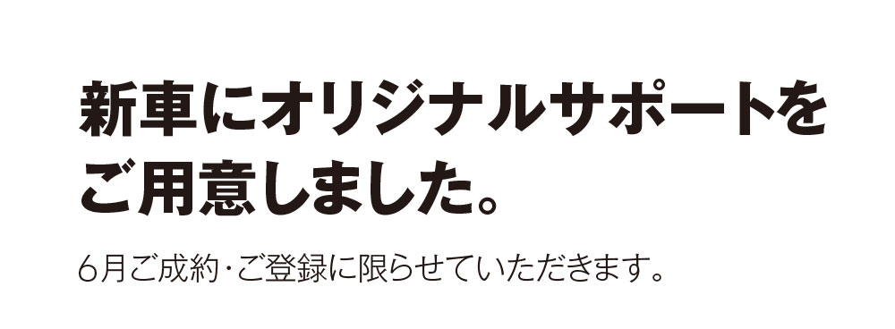 新車にオリジナルサポートをご用意しました。