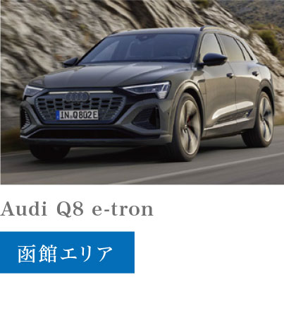 Audi Q8 e -tron