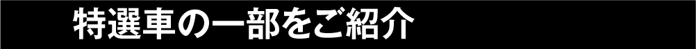 特選車の一部をご紹介