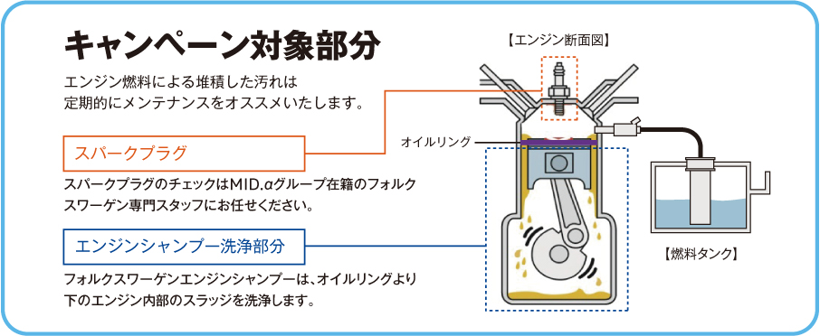キャンペーン対象部分
