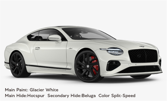 Continental GT Speed(RHD)