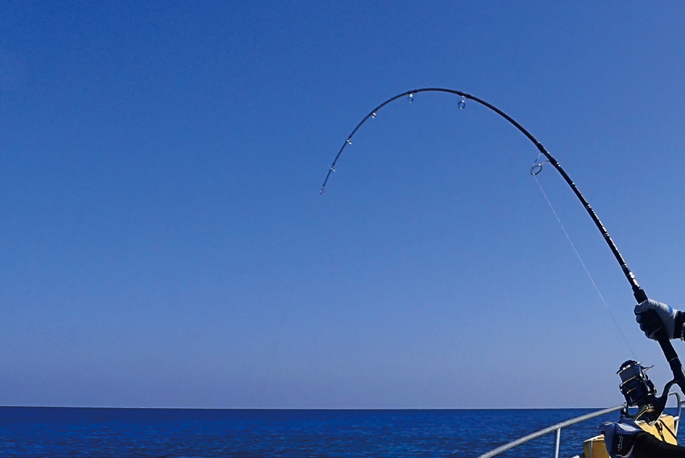 NEW LURES DEBUT