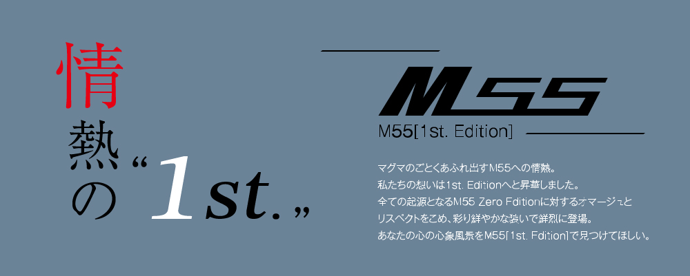 MSS