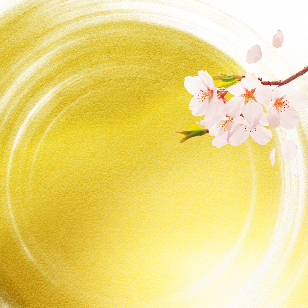 Volkswagen Service Spring Maintenance Campaign