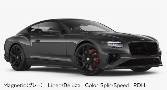 Magnetic（グレー）　Linen/Beluga　Color Split-Speed　RDH