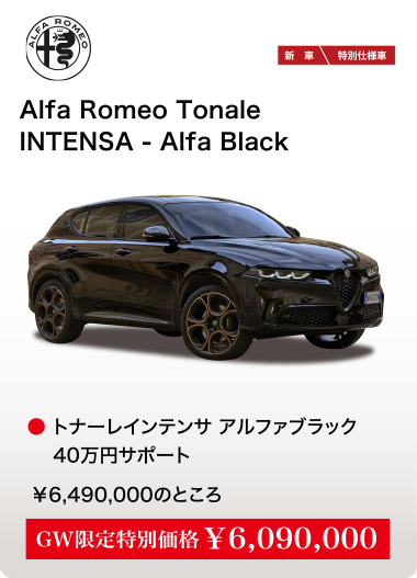 Alfa Romeo Tonale INTENSA - Alfa Black